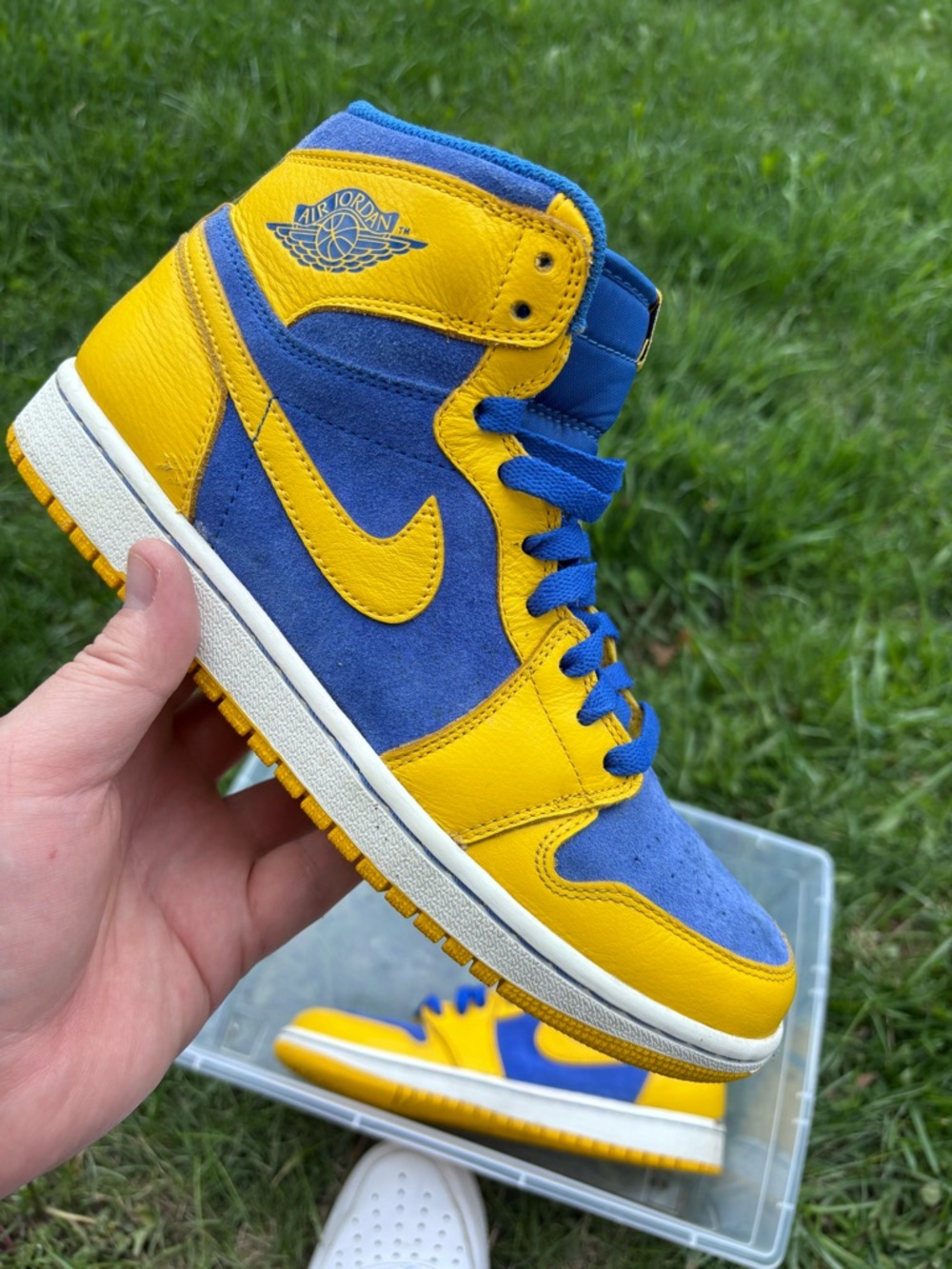 Jordan Air Jordan 1 High Laney